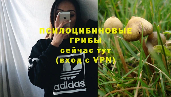 прущая мука Балахна