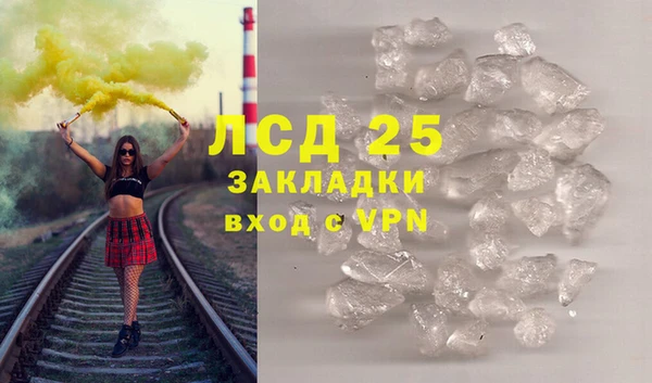 прущие грибы Баксан
